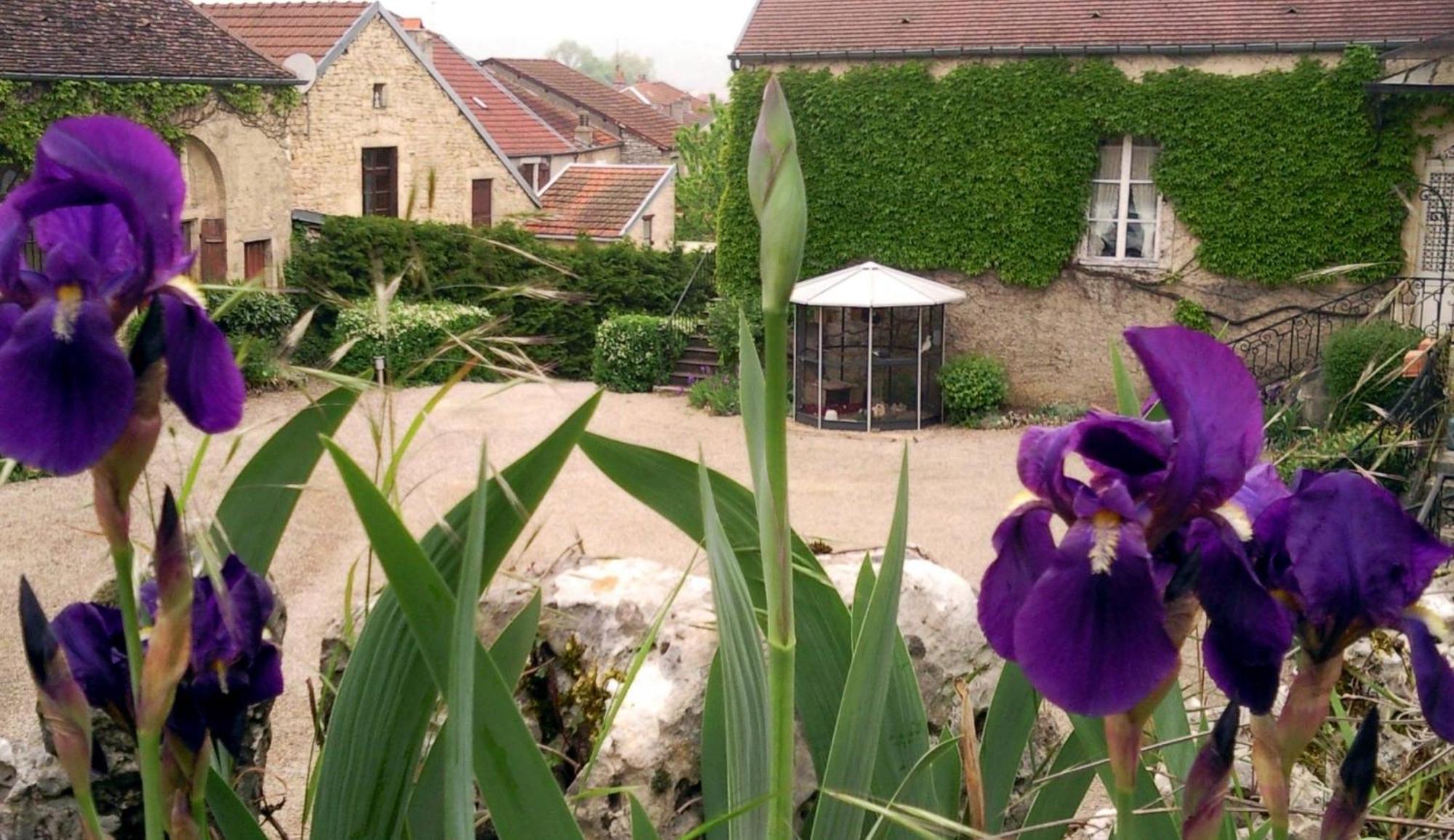 Bed & Breakfast Le Chateau De Prauthoy